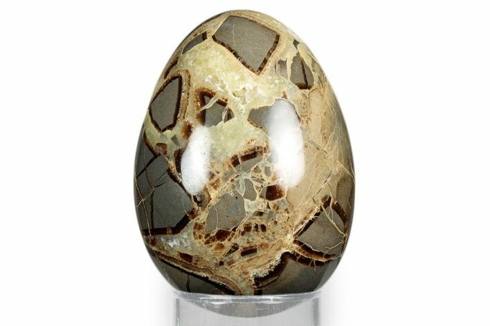 Calcite Crystal Filled Septarian Egg - Utah #344844